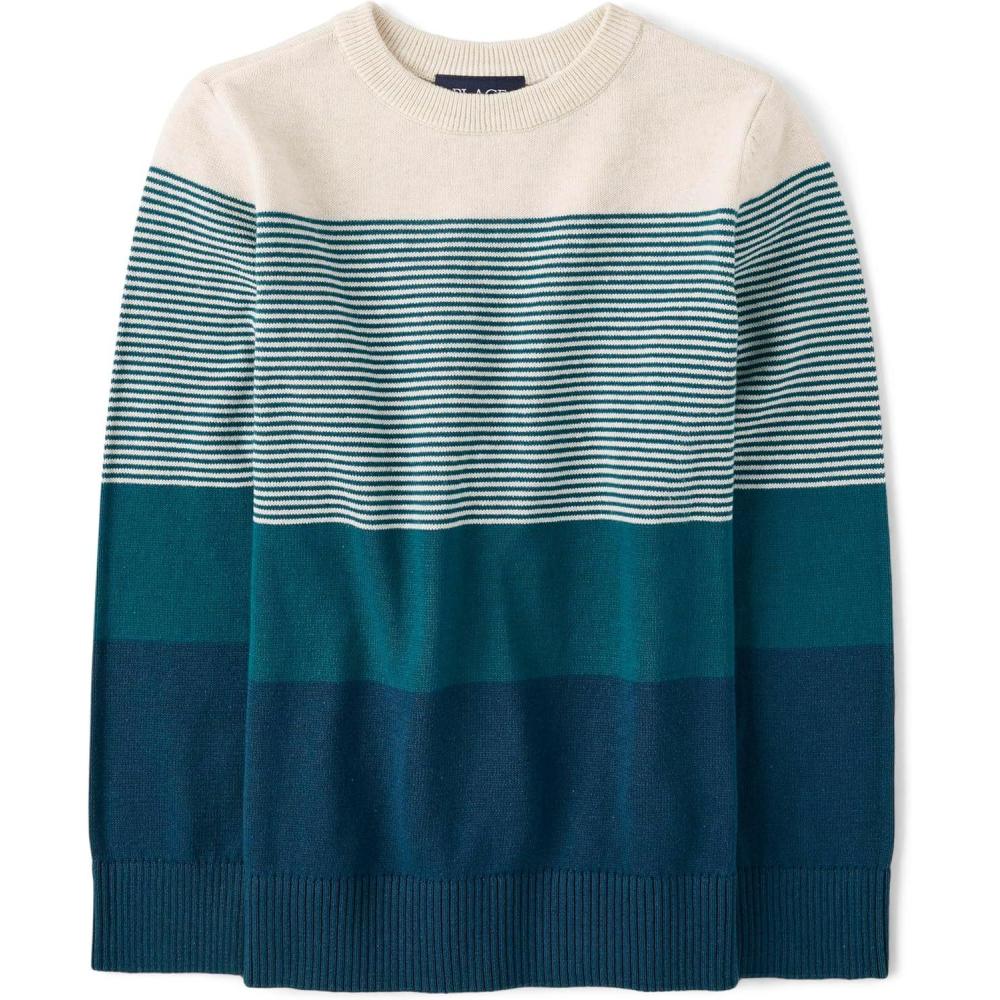 imageThe Childrens Place Boys Long Sleeve Crew Neck Pullover SweaterVanilla Stripe Crew Neck