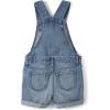 The Children’S Place Girls Denim Shortall Overalls(Autumn Wash)