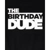 The Children’s Place Baby-Boys and Toddler All Holidays,Birthdays Short Sleeve Graphic T-Shirts,2 Pack(Birthday Dude/Handsome Trouble)