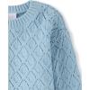 The Children’s Place Girls Long Sleeve Crew Neck Pullover Sweater(Chalk Blue Crochet)