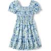 The Children’s Place Girls’ Short Sleeve Dressy Dress(Whirlwind Blue Floral)