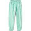 The Children’s Place Baby-Girls Winter Warm Active Pants(Wintermint)