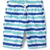 The Children’s Place Boys Swim Trunks(Renew Blue Stripe)