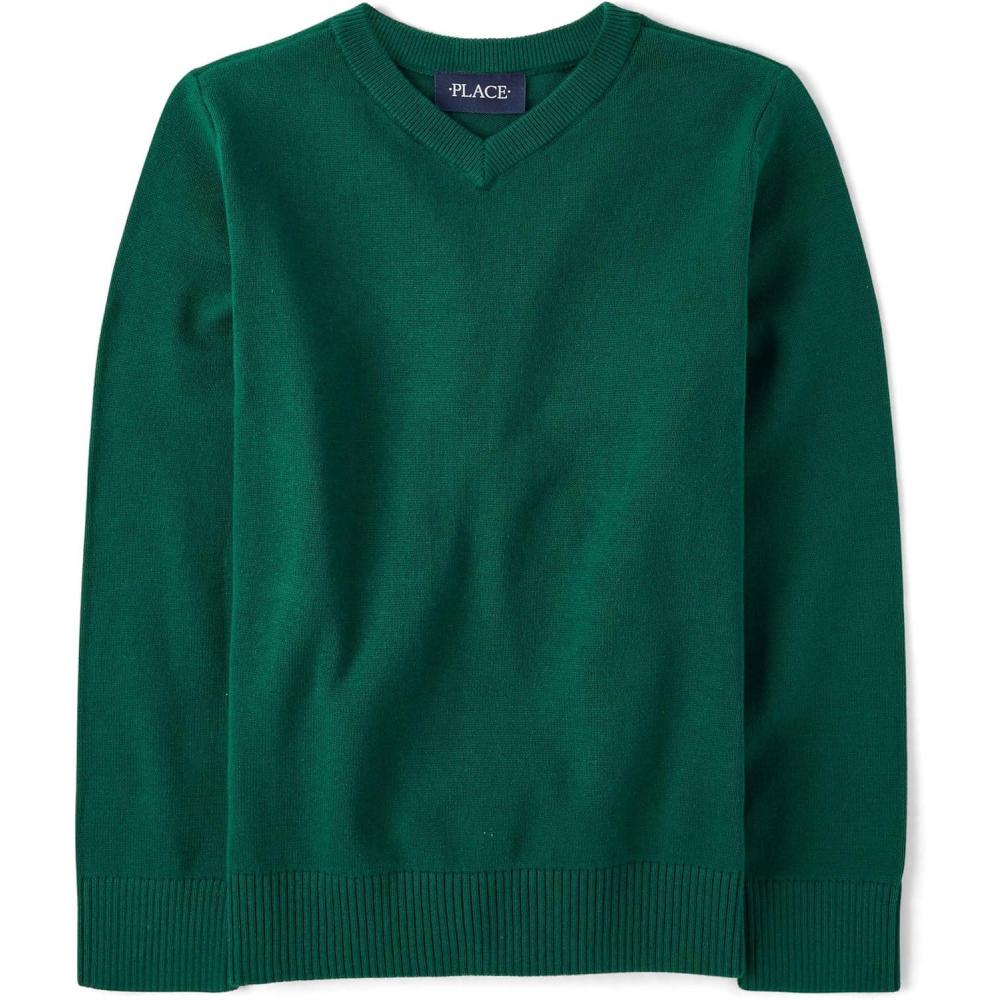 imageThe Childrens Place Boys Long Sleeve VNeck Pullover SweaterSpruce Green
