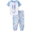 The Children’s Place baby-boys Family Matching Easter Snug Fit Cotton Pajamas(Blue Bunnies)