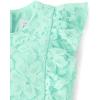 The Children’s Place Baby Girls’ and Newborn Ruffle Dressy Dress(Mellow Aqua Lace)