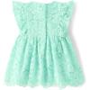 The Children’s Place Baby Girls’ and Newborn Ruffle Dressy Dress(Mellow Aqua Lace)