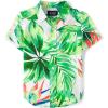 The Children’s Place Baby Boys’ and Toddler Poplin Short Sleeve Button Down Shirt(Applemint)