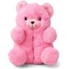 The Children’s Place Kids’ And Toddler Boys’ and Girls’ Everyday Slippers(Pink Bear)